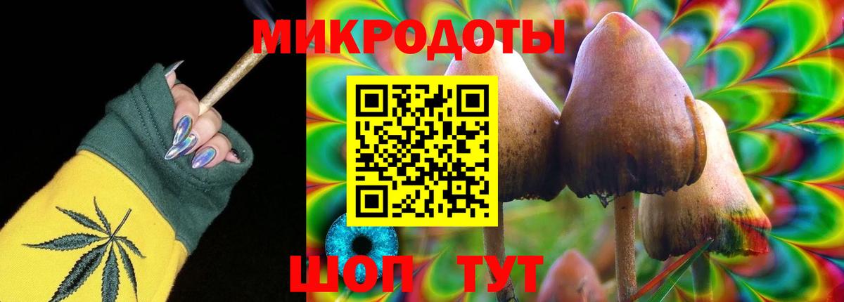 Екатеринбург  Псилоцибиновые грибы мицелий  Вход с VPN 
