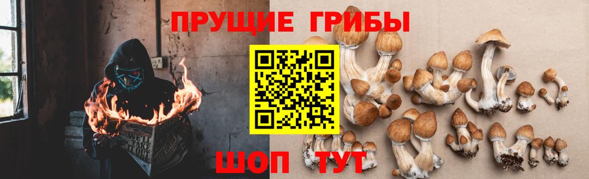 Псилоцибиновые грибы ЛСД Екатеринбург